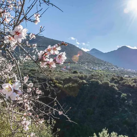 Panorama Of Deep Blue