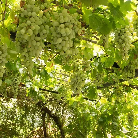 펜션 Panorama Of Deep Blue