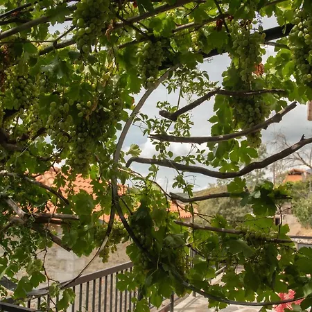 Panorama Of Deep Blue Nyaraló