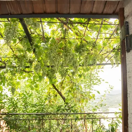 Panorama Of Deep Blue 펜션 Tseria