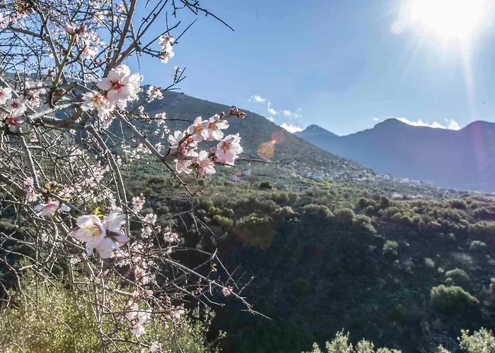 Panorama Of Deep Blue