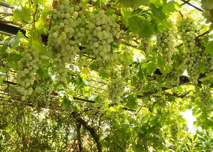 Casa de Férias Panorama Of Deep Blue